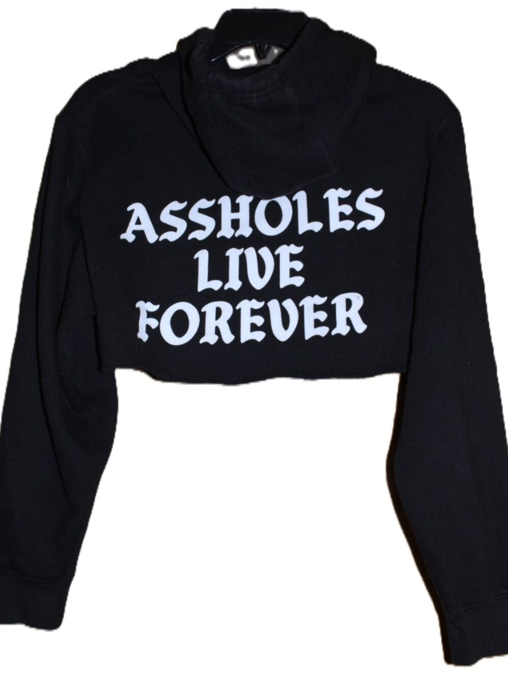 assholes Live Forever Hoodie Womens Size Small Black Cropped Graphic Streetwear